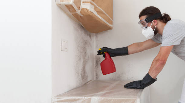 Professional Mold Testing technician working in Manns Choice, PA